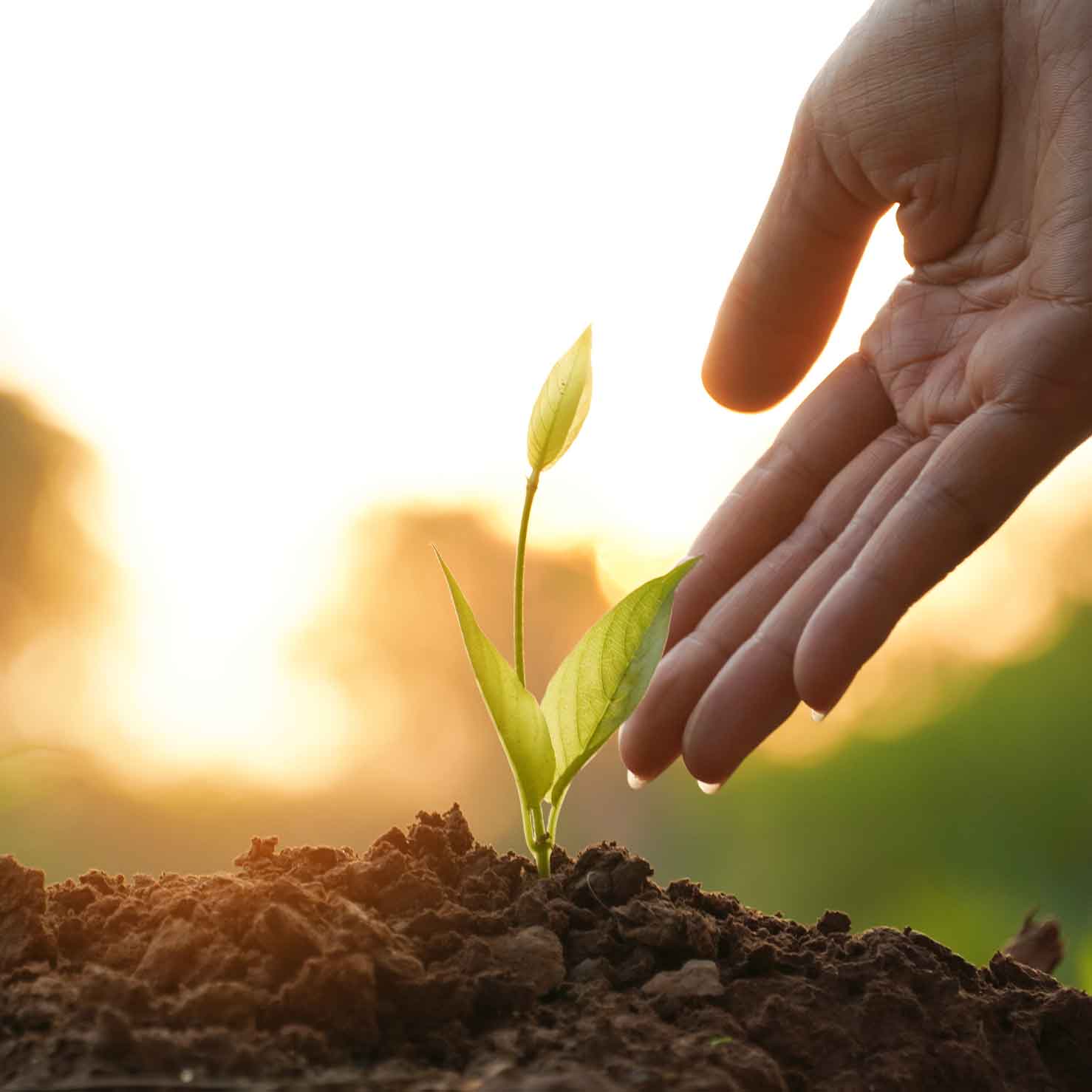 01-notre-histoire-image-notre-histoire