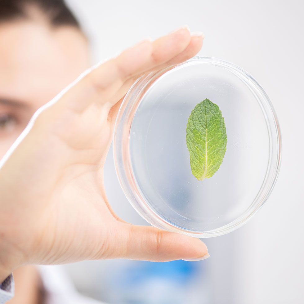 bloc-introduction-page-rd